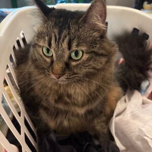 Meet your Posher, Lora